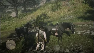 Red Dead Redemption 2 How To Get The Scout Jacket Arthur With The Black Male Arabian