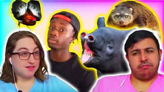 Casual Geographic - You've NEVER SEEN ANIMALS like this before | Eli & Jaclyn REACTION