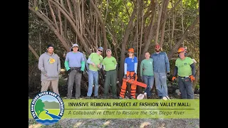 San Diego River Invasive Removal Project at Fashion Valley Mall