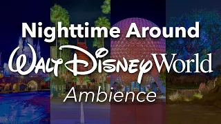 Nighttime Around Walt Disney World Ambience | Disney World Nighttime Fireworks Ambience