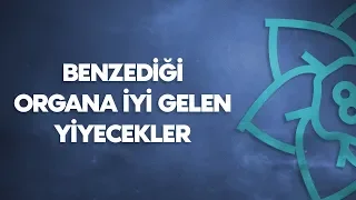 Benzediği Organa İyi Gelen Yiyecekler | Şebboy.com