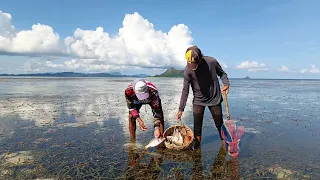 PAHIBAS AMAZING SPOT NAKARAMI PARIN