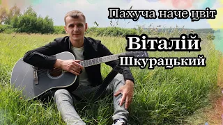 Віталій Шкурацький - Пахуча наче цвіт 2024 ПРЕМ'ЄРА (Official video)