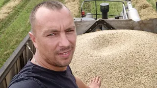 Набрал 1000 тонн зерна комбайном Палесье GS-12A1