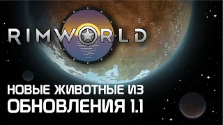 Rimworld 1.1 - Все о животных из нового обновления!