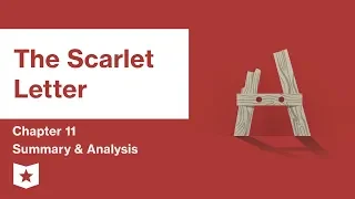 The Scarlet Letter  | Chapter 11 Summary and Analysis | Nathaniel Hawthorne