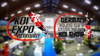 KoiExpo 2014   Aftermovie