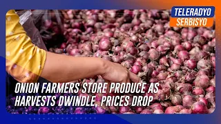Onion farmers store produce as harvests dwindle, prices drop | TeleRadyo Serbisyo