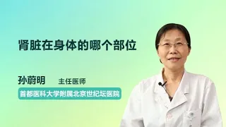 肾脏在身体的哪个部位 孙蔚明 首都医科大学附属北京世纪坛医院