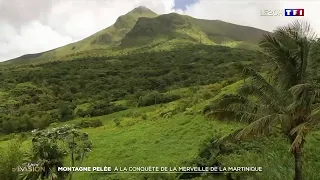 Montagne Pelée : à la conquête de la merveille de la Martinique