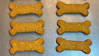 Pumpkin Dog Treats Recipe! 🎃🐾