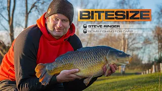 Bomb Fishing For Big Carp with Steve Ringer | Guru Bitesize #030