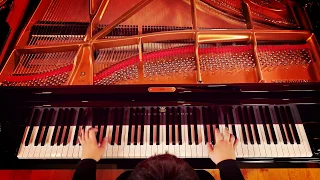 Liszt - Grand Galop Chromatique S.219 / VIDEO | Martin IVANOV, piano