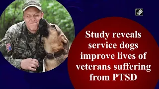 Study reveals service dogs improve lives of veterans suffering from PTSD