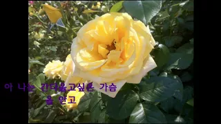 가수 정화수 나는떠난다 [원곡/ 남인수]