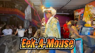 Reggae Icon Eek-A-Mouse Destroyed Rub A Dub Thursday | Must Watch | Live Performance | 26-10-23