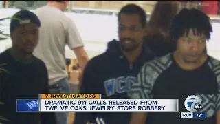 Surveillance video shows Twelve Oaks Mall jewelry store robbery suspects