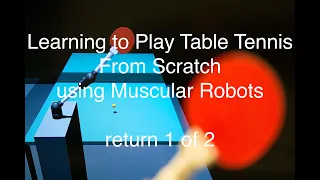 HYSR RETURN Training part 1 of 2 - Learning to Play Table Tennis From Scratch using Muscular Robots