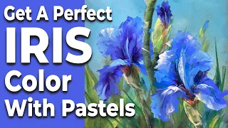 Get A Perfect Iris Color With Pastels. How to portray flowers in a realistic way