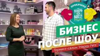 Качественный груминг в Казани! Как изменился салон Happy Pets после участия в шоу?