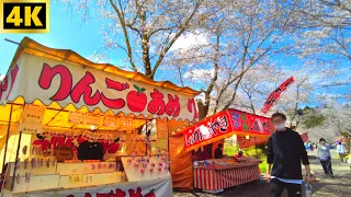 【4K Japan Walk 】Cherry Blossoms in Miyazaki Walking Tour｜Together Walk｜Slow TV｜Street view｜ ASMR