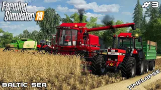 Harvesting and baling with MrsTheCamPeR | Animals on Baltic Sea | Farming Simulator 19 | Episode 3