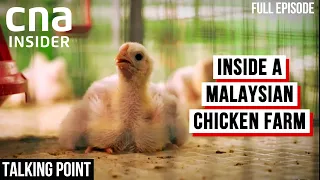 The Truth Behind Malaysia's Chicken Shortage & Farmers' Woes | Talking Point | Full Episode