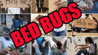 Why Do Poor People Have Bed Bugs? - How To Prevent Bed Bugs In The First Place