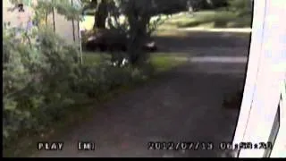 Attempted abduction caught on camera