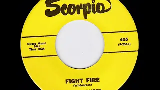 THE GOLLIWOGS - Fight Fire