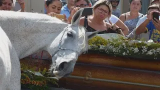 Dieses Pferd kam zur Beerdigung, um sich von seinem Besitzer zu verabschieden...