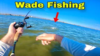 Winter WADE FISHING GALVESTON for SPECKLED TROUT!