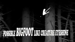 Possible Bigfoot-like creature eyeshine caught on camera 2021