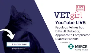 9/12/23: Fabulous Felines but Difficult Diabetics; Approach to Complicated Diabetic Patients