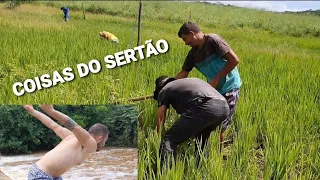 LAVOURA DE ARROZ E BANHO DE BARRAGEM COM JUNINHO E SEU PAI