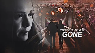 stefan + elena | you were never gone [1x01-8x16]