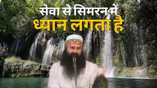 सेवा से सिमरन में ध्यान लगता है | Saint Dr MSG Insan | Dera Sacha Sauda Sirsa #saintmsg #ramrahim