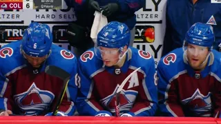 Colorado Avalanche Announcer Briefly Sings Along With Fans To Blink 182