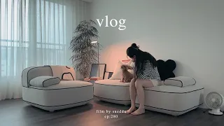 vlog｜A Day of a Homebody, Cleaning and Organizing the House