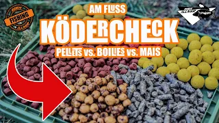 Ködercheck am Fluss - Pellets vs. Boilie vs. Mais  #vermeideFehler #karpfenangeln