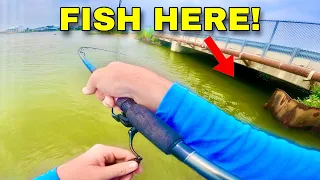 BANK FISHING these POPULAR SPOTS for my DINNER! (Catch, Clean, and Cook)