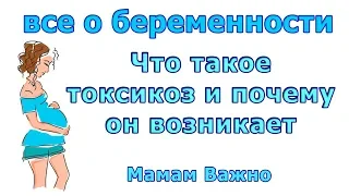 Что такое токсикоз и почему возникает?