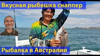 Рыбалка. Веселая рыба брим и красивый снаппер. Redcliffe, Австралия. (видео 078)