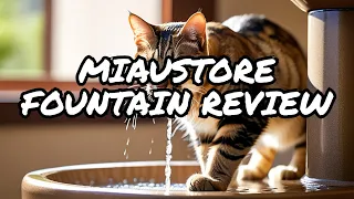 Should Cat Owners get the Miaustore Cat Water Fountain 💦