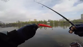 РЫБАЛКА В ДЕНЬ РОЖДЕНИЯ))) Ловля Щуки на джиг в Апреле. Платник Белая дача#NEKFiSh