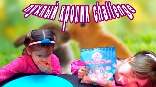 Челлендж Пухлый Кролик. CHUBBY BUNNY CHALLENGE Marshmallow Вызов принят.№10