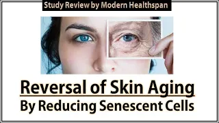 Reversal of Skin Aging by Reducing Senescent Cells | Study Review