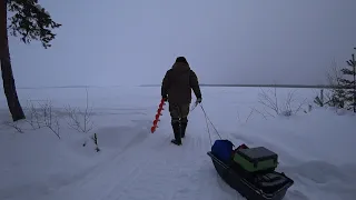 ВЕРНУЛСЯ В ЭТИ КРАЯ СПУСТЯ ТРИ ГОДА! СТАРАЯ РЫБАЦКАЯ ИЗБА ВСТРЕЧАЙ  ЖЕРЛИЦЫ НА ЧЁРНУЮ ЩУКУ ЧАСТЬ 1