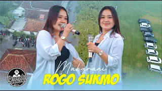 MAHARANI - ROGO SUKMO // ( Live ) RTH Purwoharjo - Pemuda Kampung Baru Purwoharjo ( NVY )