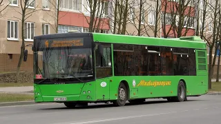 МОЛОДЕЧНО. Поездка на автобусе МАЗ-203.065, Г/№ AE 9808-5, маршрут №4 (06.02.2022)